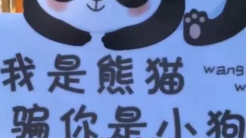 中國動物園寫騙你是小狗！她走近看傻眼了