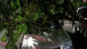 山陀兒,颱風,愛車,停車費,停車格,開單
爆料公社