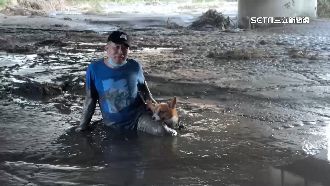 溪水退去厚泥堆積　男子散步遛狗身陷泥淖