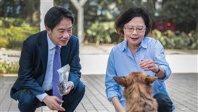 蔡賴會面暢談狗狗經。（圖／總統府提供)