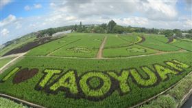全國最大彩繪稻田　10/10桃園大園溪海休區登場(圖/桃園電子報提供)