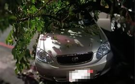 山陀兒,高雄市,停車費,停車格,搶錢