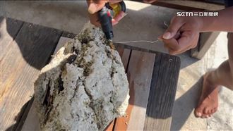 海邊撿到龍涎香？逾3公斤重奇石送鑑定