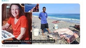 潛水服,海流,鯊魚,南達科他州,美國,東帝汶,印尼