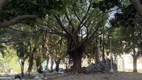 台中,公園,男子,垂掛,死亡,意外（圖／翻攝畫面）