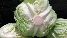 高麗菜(圖翻攝自/pixabay)
