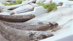 2024黃魚、午魚及鱸魚動物用藥殘留測試調查
（圖／消基會提供）