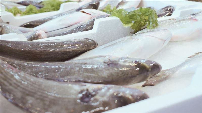 水產抽驗　黃魚含殺菌劑、午魚有抗生素