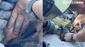 半隻手臂卡死動彈不得，從側面看手臂漂浮在水溝中，畫面驚悚。（圖／記者王浩原攝影）
