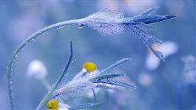 ▲「寒露」時節天氣逐漸轉冷，但有些人卻將迎來好運。（示意圖／翻攝自pixabay）