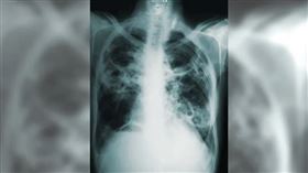 汪建民（圖／翻攝自unsplash）