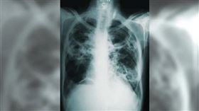 汪建民（圖／翻攝自unsplash）