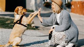 狗狗。（圖／翻攝自pixabay）