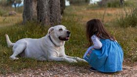 ▲狗（示意圖／翻攝自pixabay）