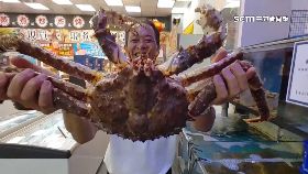 帝蟹價腰斬1800