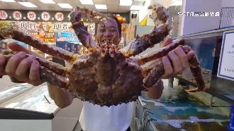 開季豐收！帝王蟹價格腰斬「單隻免破萬」