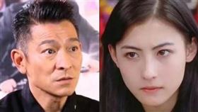 劉德華,張柏芝,向太,大隻佬,康熙來了