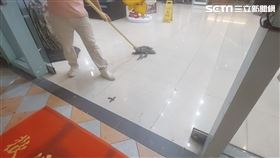滿地的鮮血，員工拖地善後困難，殘留的血痕一路被拖行好幾尺。（圖／翻攝畫面）
