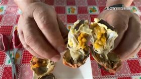 9月圓臍10月尖! 大閘蟹活潑度越高愈新鮮