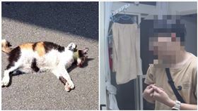 虐貓,心理系,男大生,襪子（圖／新竹縣議員朱健銘提供）