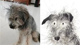 兒子上畫畫課已經一年，結果把寵物狗畫成炸毛怪物。（圖／翻攝自微博）