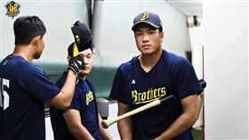 ▲中信兄弟首輪大物許庭綸一軍初體驗。（圖／中信兄弟提供）