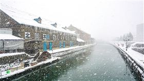 北海道 下雪 雪國 示意圖／unsplash