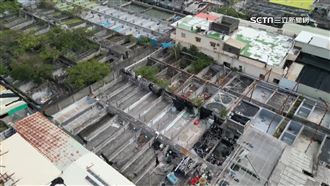 颱風重創蝦苗近全死　業者嘆：考慮轉行