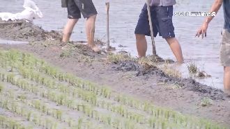 藍白4度退回總預算　農民：影響財產生命