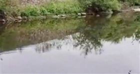 大陸湖南省一名9歲女童上月21日離奇溺斃，遺體被發現時全身赤裸。（圖／翻攝自微博）

