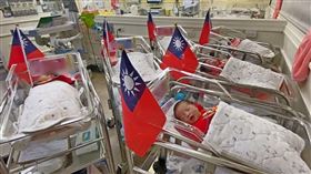 台中茂盛醫院喜迎7名龍年國慶寶寶。（圖／茂盛醫院提供）