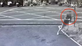 文 宣詐追逮詐1800