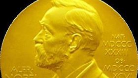 2024年諾貝爾獎陸續公布各獎項得主。（圖／翻攝自維基百科）