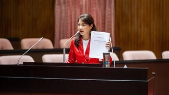 藍白不審總預算　這些政策卡關！綠委開轟