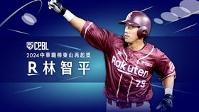 ▲林智平獲得東山再起獎。（圖／中職提供）