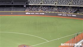 ▲國慶晚會後，大巨蛋外野草皮黑黑的。（圖／記者劉彥池攝影）