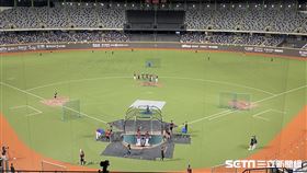 ▲大巨蛋外野明顯有黑色。（圖／記者張沛嘉攝影）