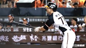 ▲中職35年季後挑戰賽，統一獅指定打擊林安可。（圖／記者劉彥池攝影）