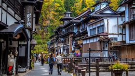 旅天下推出日本北海道賞楓行程。（圖／旅天下提供）