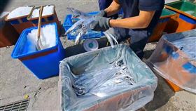 中國解放軍東部戰區今（14）日在台灣周邊進行「聯合利劍-2024B」演習，中國海警稍早也跟進宣布，要在台島周邊海域開展執法巡查，中方未說明軍演何時會結束。基隆漁民對此表示，因為中國軍演關係，很多漁民都不敢出海捕魚，恐對生計造成嚴重影響。