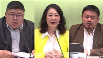 藍再推修選罷法！綠黨團：幫自己撐保護傘