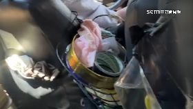 (晚)恐怖蟑螂車1800