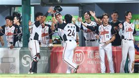 ▲統一獅晉級2024台灣大賽。（圖／統一獅提供）