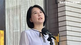 ▲立委王鴻薇議場前受訪（圖／記者高逸帆攝影）