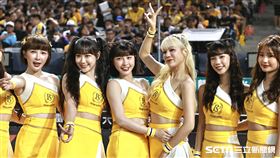 ▲台灣大賽，PS女孩前2戰班表有邊荷律、李丹妃，獨缺峮峮。（圖／記者劉彥池攝影）