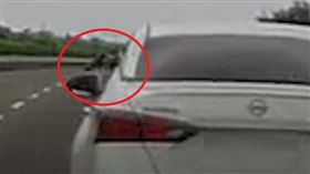轎車,車主,警方,雲林,逼車,恐嚇,快速道路