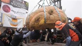 ▲園藝老師金傑的南瓜重達2,471磅（約1120公斤）。（圖／CTWANT提供，下同）