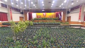 新竹市警察局,大麻,無塵室,植株（圖／新竹市警察局提供）