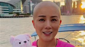 吳文忻化療頭髮全掉光。（圖／翻攝自吳文忻IG）