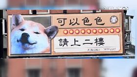 色廣告囂.張1800